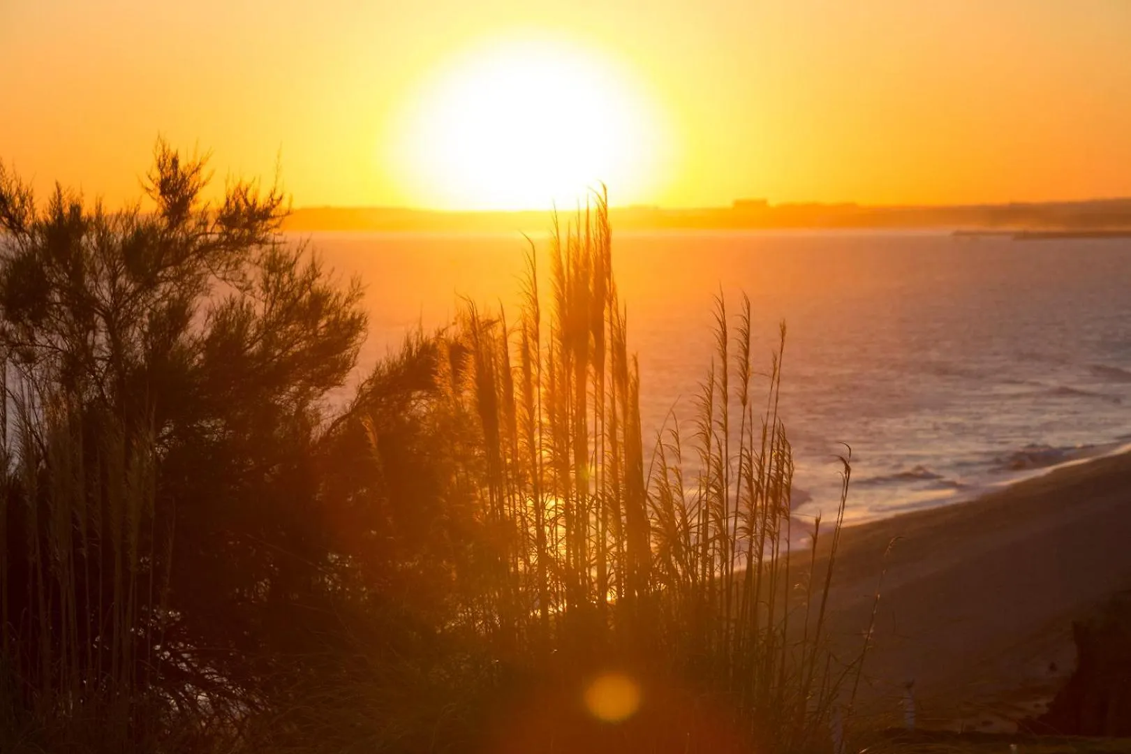 Sunny Haven Apartment Vilamoura