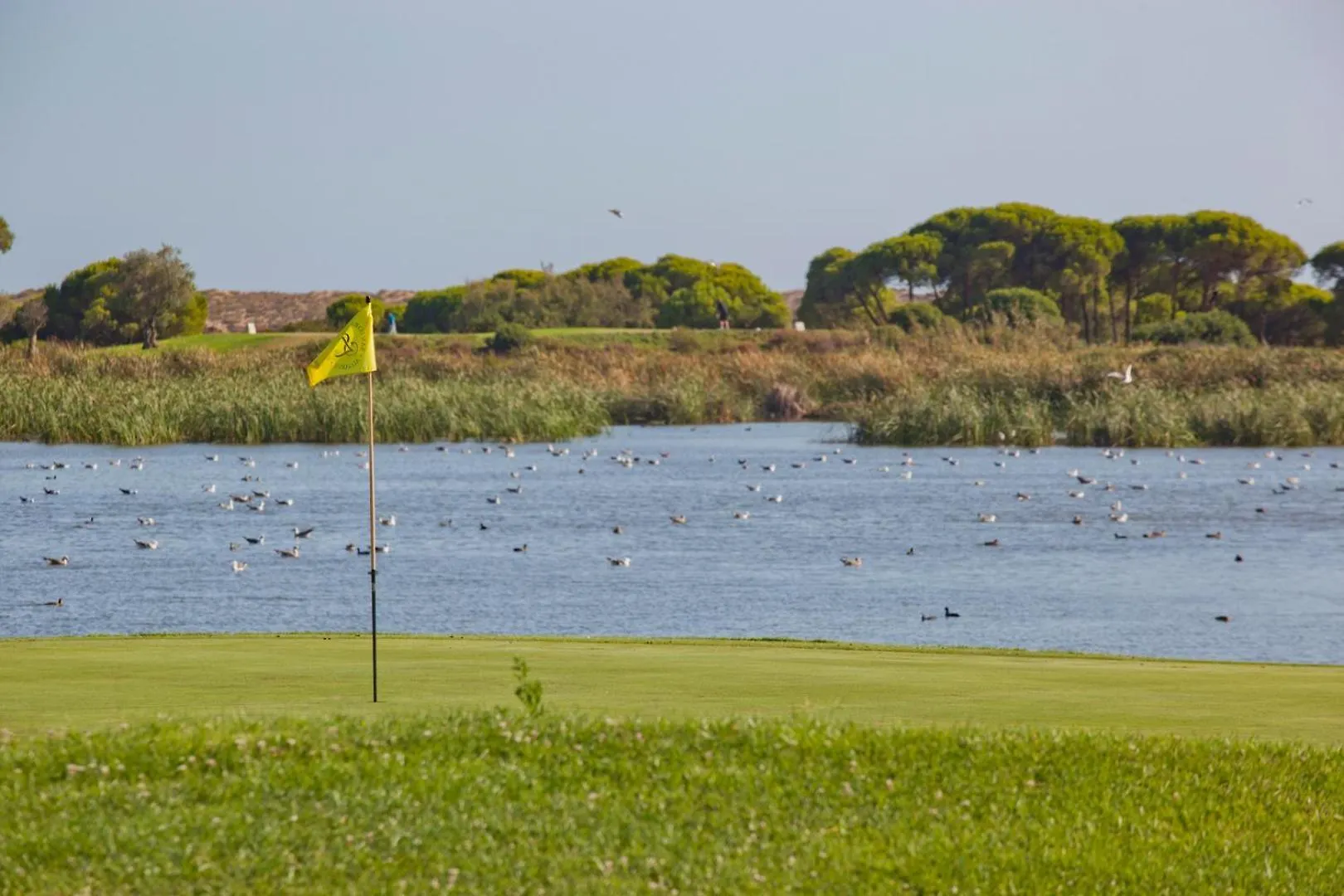 Sunny Haven Apartment Vilamoura 0*,  Portugalia